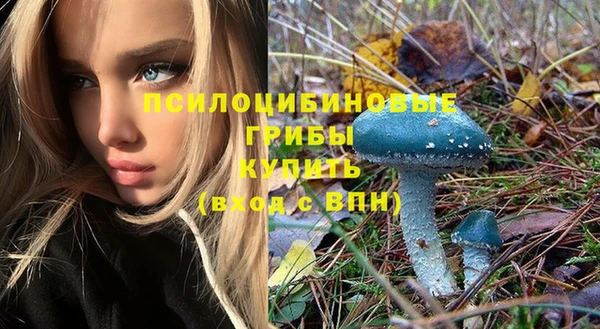 стафф Володарск