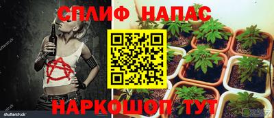 ешки Бузулук