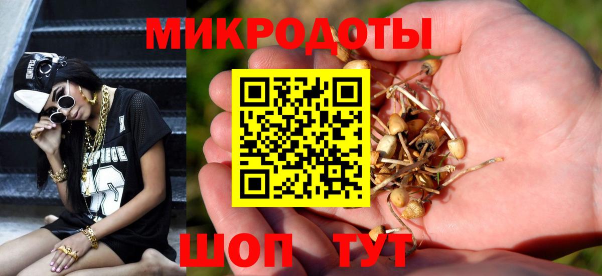 Галлюциногенные грибы Magic Shrooms  Выкса  Псилоцибиновые грибы Magic Shrooms 