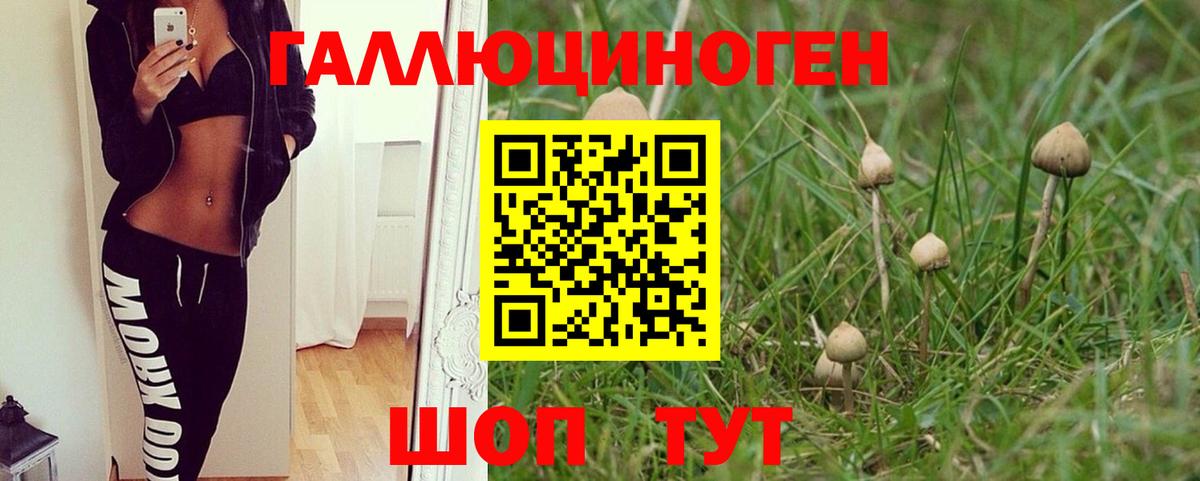 Alpha PVP СК кристаллы  MDMA  Меф МЯУ МЯУ   Конопля  ГАШИШ  МАРИХУАНА  Кокаин  Выкса  Вход с VPN 