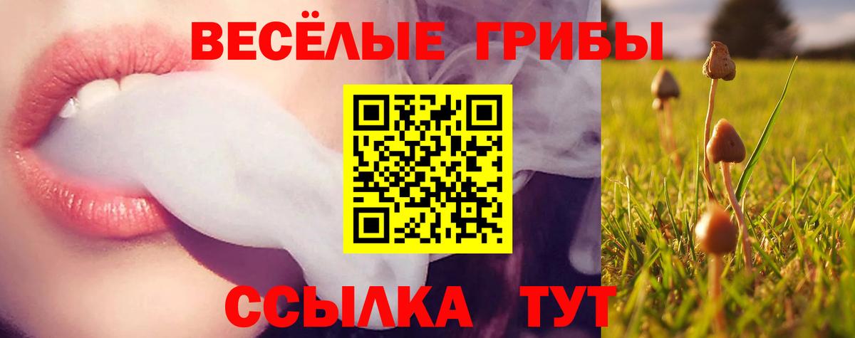 Галлюциногенные грибы прущие грибы Выкса